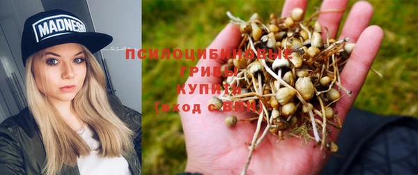 скорость Покачи