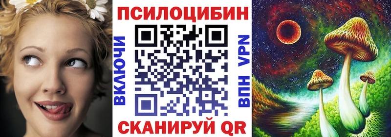 где купить наркоту  Асбест  Галлюциногенные грибы Psilocybe 